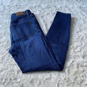 Madewell Women's Blue 9" High Riser Skinny Skinny Jeans Size 27